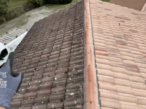 Demoussage Nettoyage toiture Cestas, Léognan, Au Soleil Des Espaces Verts