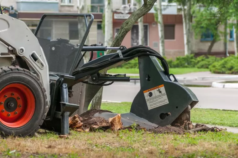 Dessouchage : quelle technique adopter ?, Léognan, Au Soleil Des Espaces Verts