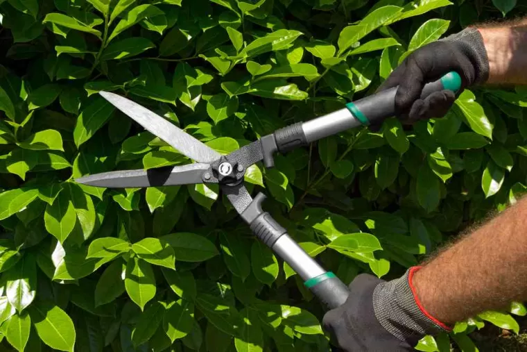 Entretien de jardin déductible des impôts, Léognan, Au Soleil Des Espaces Verts