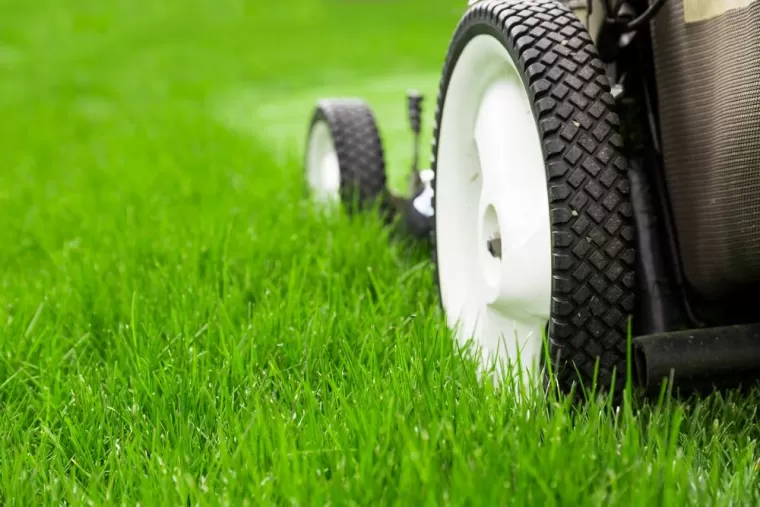 Peut-on tondre le dimanche à Léognan ?, Léognan, Au Soleil Des Espaces Verts