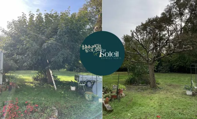 Élagage d'arbre, Léognan, Au Soleil Des Espaces Verts