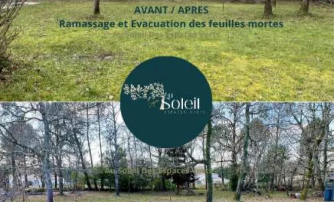 Entretien d'espaces verts, Léognan, Au Soleil Des Espaces Verts